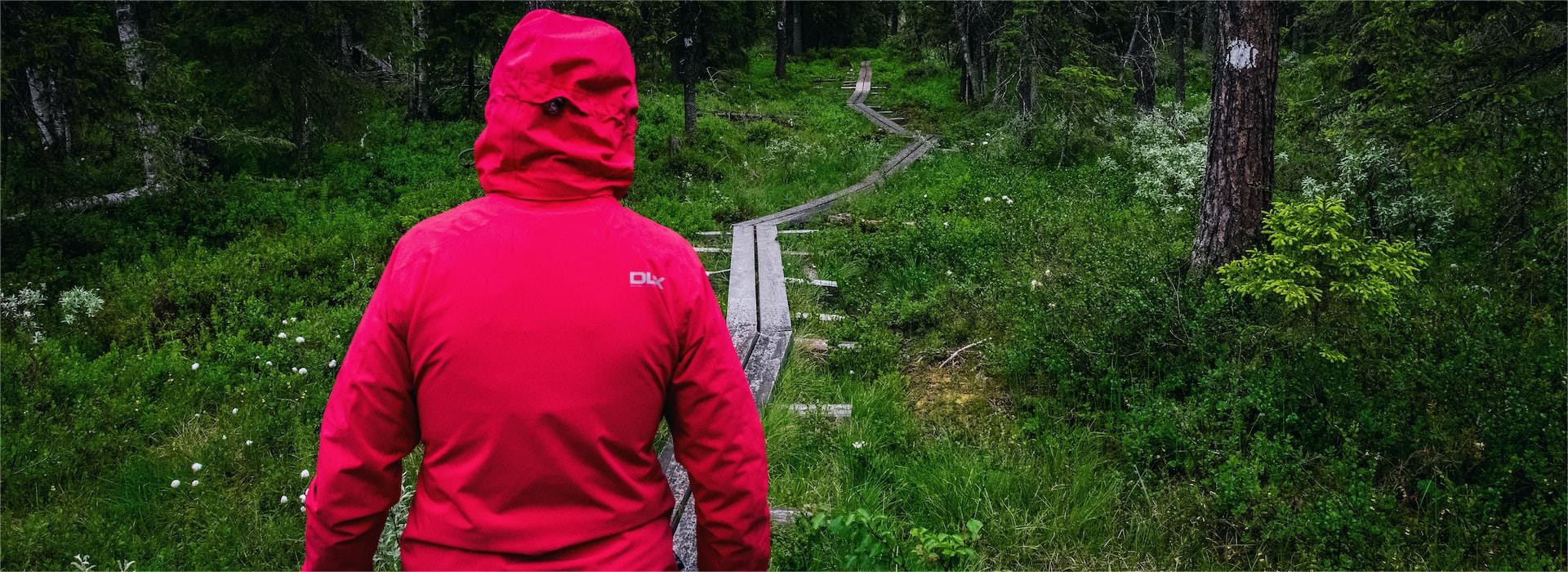 Titelseite -Mammut Geschäft matthew iYcdnxwLf k unsplash